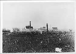 Разрушенный сад Брёдерны Ханссон