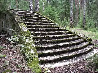 Развалины особняка Биенковских