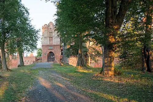 Дубовая аллея на пути к замку