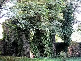 Руины замка