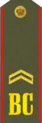 Погон младшего сержанта ВС России (с 1994 по 2010 г.).
