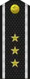 Знаки различия (ВМФ) старшего мичмана.