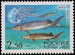 Почтовая марка России, 2003 год