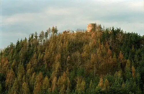 Вид замковой горы с руинами замка