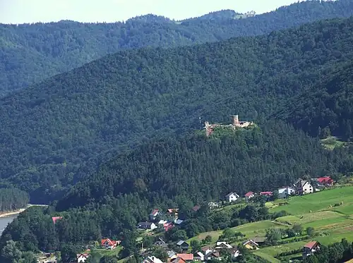 Панорамный вид на замок и окрестные леса