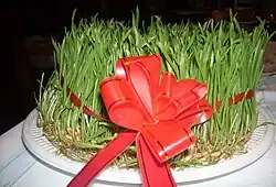 Сэмэни — выращенный дома