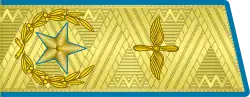 Главный маршал авиации