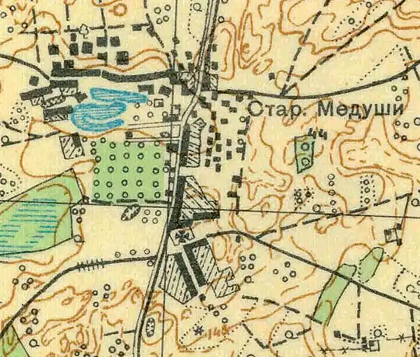 План деревни Старые Мёдуши. 1930 год