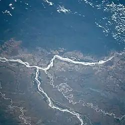 Спутниковый снимок приустьевой части. Мета в центре нижней части фотографии. Справа налево течёт Ориноко.