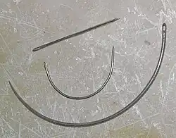 Парусные иглы