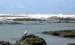 Морское побережье