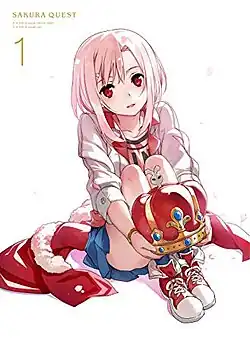 Обложка DVD издания сериала.