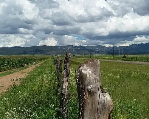 Пригород Сан-Хосе-Бабикора