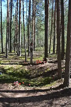 Столб-голубец. Цветами обозначены границы расстрельной ямы