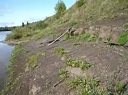 Обнажение песчаников на правом берегу Яйвы