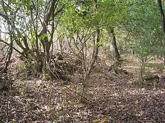 Развалины крепостной стены