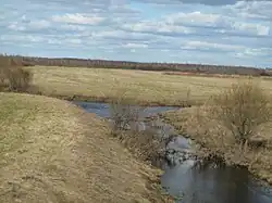 р. Саванка (вид с грунтовой автодороги Сандово - Лукино