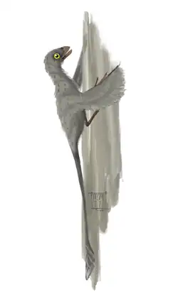 Реконструкция