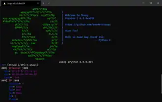 Скриншот программы Scapy