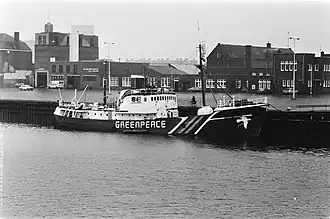 Rainbow Warrior в Схевенингене в 1979 году