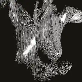 Обложка альбома Oceansize «Self Preserved While the Bodies Float Up» (2010)