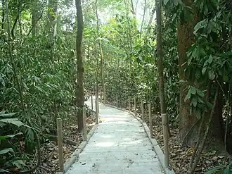 Дорога для посетителей