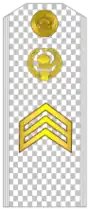 Съëмный погон сержанта к парадной форме (рубашке), образца 2000-х. Петличный знак принадлежности к медицинской службе (санинструктор, медсестра) на погоне.