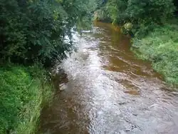 Среднее течение реки летом 2007 года.