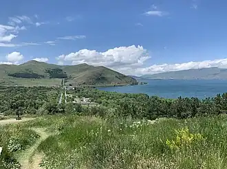 Полуостров2022 год