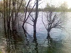 Весеннее половодье