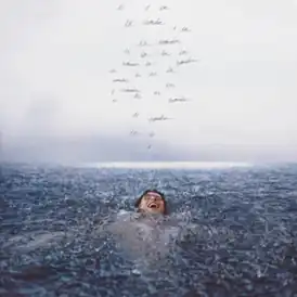 Обложка альбома Шона Мендеса «Wonder» (2020)