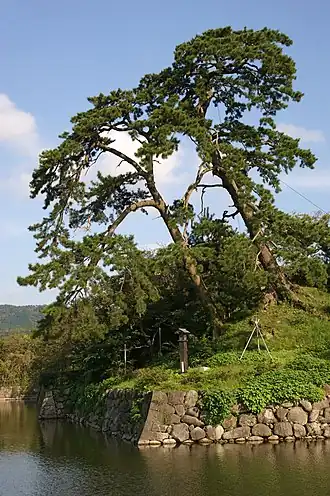 Остатки стен замка