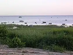 Побережье моря