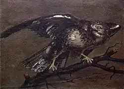 Стервятник.