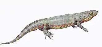 Реконструкция Silvanerpeton miripedes