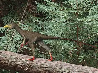 Реконструкция