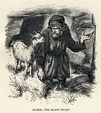 Элши, иллюстрация в издании A & C Black 1886 года.