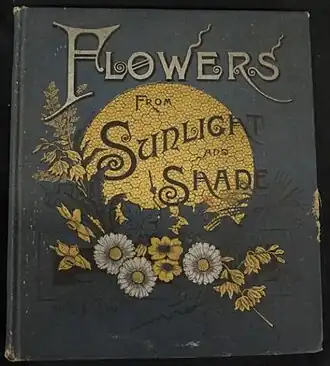 Flowers from Sunlight and Shade