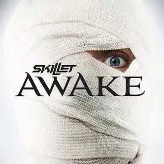 Обложка альбома Skillet «Awake» (2009)