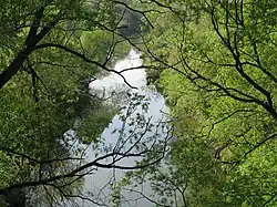 Нижнее течение реки весной 2008 года