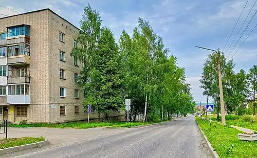 Улица Скорынина в Нижней Туре