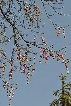 Писанковое дерево