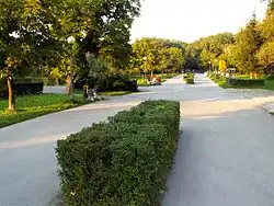 Главная аллея площади