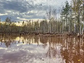 Шламовое озеро на севере Дегтярска
