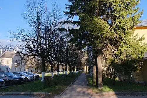 Большие Лучки