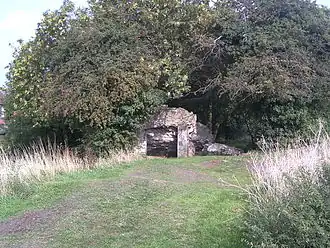 A small pile of stones overgrown with shrubs.
