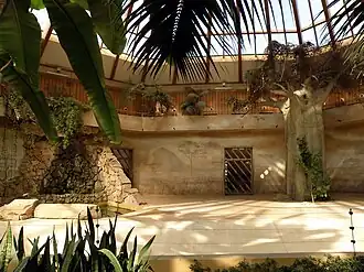 Вольер для слонов в Варшавском зоопарке