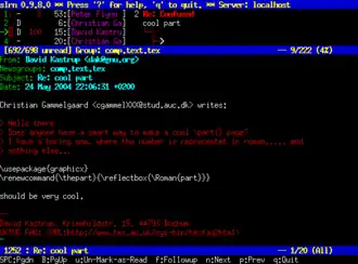 Скриншот программы slrn
