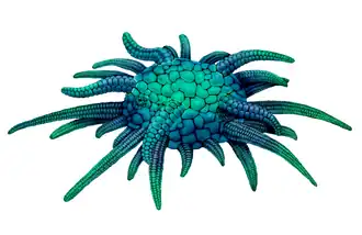 Реконструкция Sollasina cthulhu