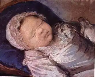 Портрет Софии кисти Элизабет Виже-Лебрен.Портрет был частью большой картины,
 изображавшей Марию-Антуанетту с детьми, однако после смерти принцессы её изображение было удалено